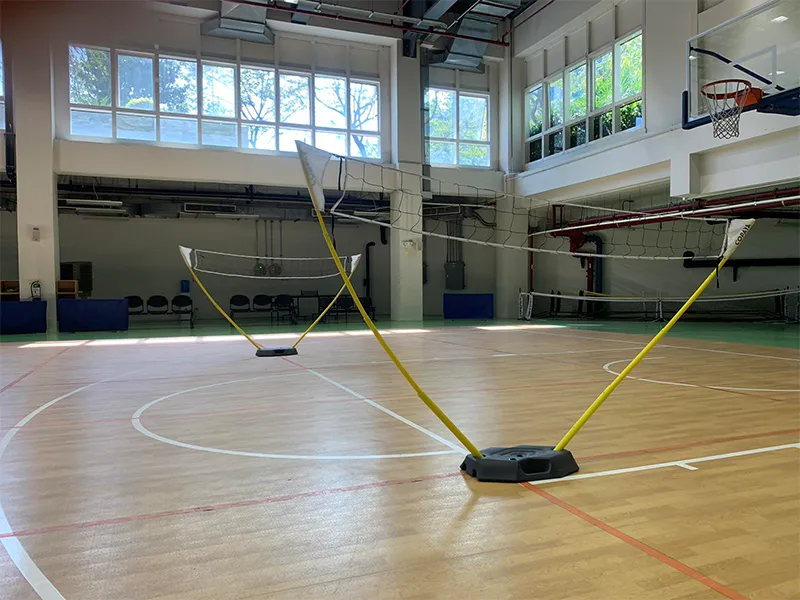 SEQUOIA VOLLEYBALL COURT